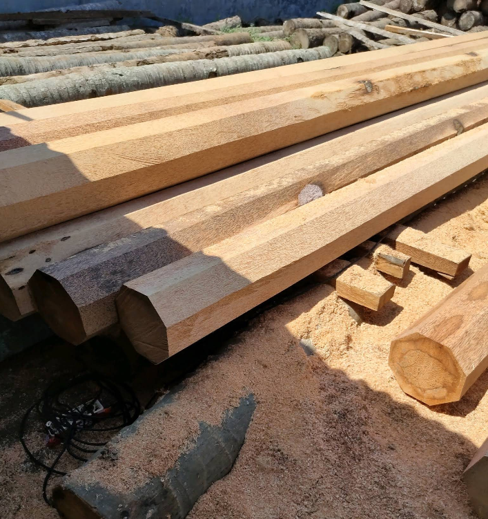 Kayu Kelapa 7